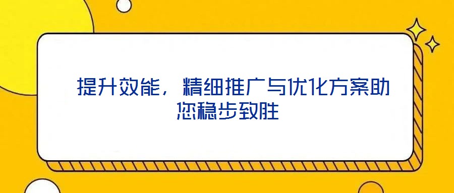 提升效能,精細推廣與優化方案助您穩步致勝