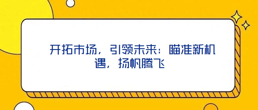 開拓市場,引領未來:瞄準新機遇,揚帆騰飛
