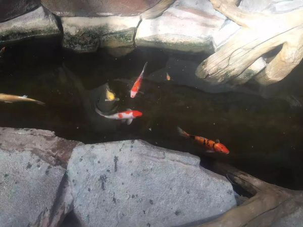 生態餐廳溫室